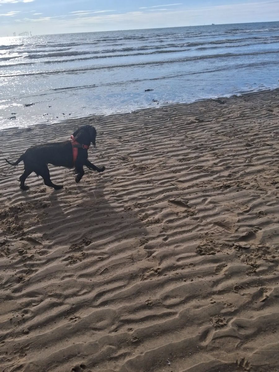 A beach day on the Sefton coast