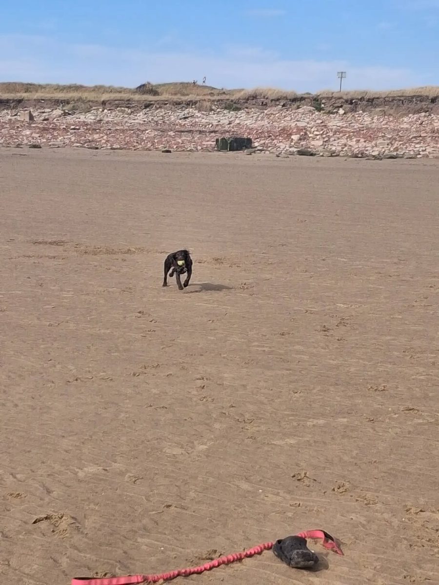 Out with the Cressington pack